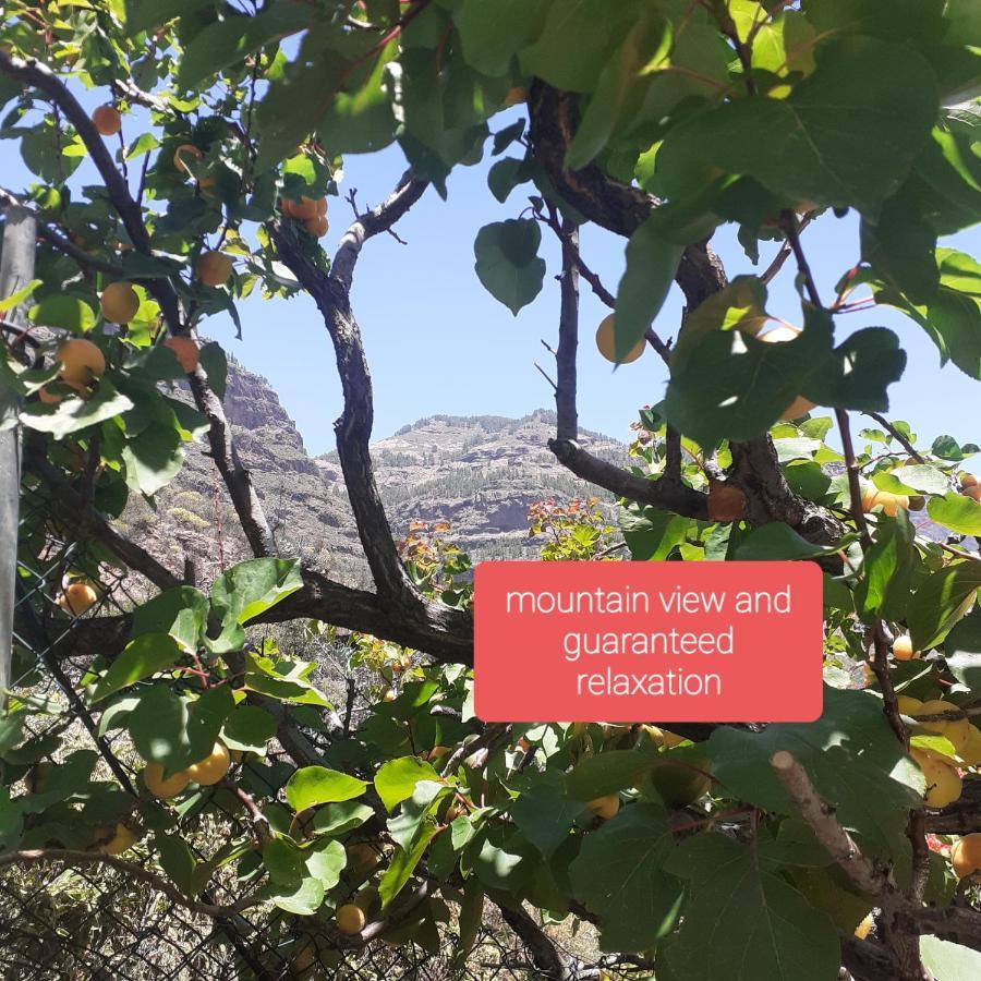 La Finca Del Don Ganapati San Bartolomé Zewnętrze zdjęcie